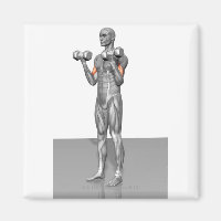 Permanente Biceps Cursus 2