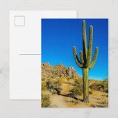 Permanente Cactus Briefkaart (Voorkant / Achterkant)