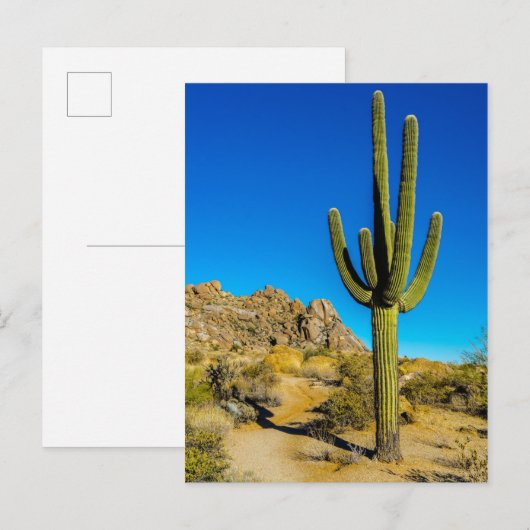 Permanente Cactus Briefkaart (Voorkant / Achterkant)