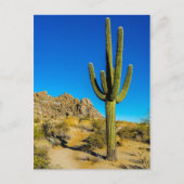 Permanente Cactus Briefkaart (Voorkant)