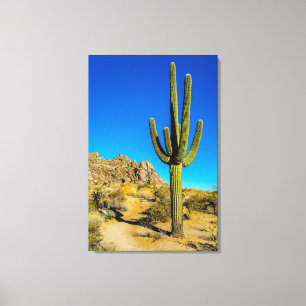 Permanente Cactus Canvas Afdruk