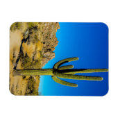 Permanente Cactus Magneet (Horizontaal)