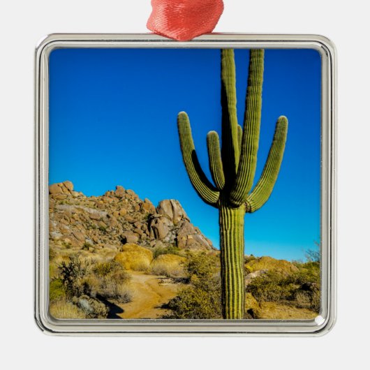 Permanente Cactus Metalen Ornament (Voorkant)