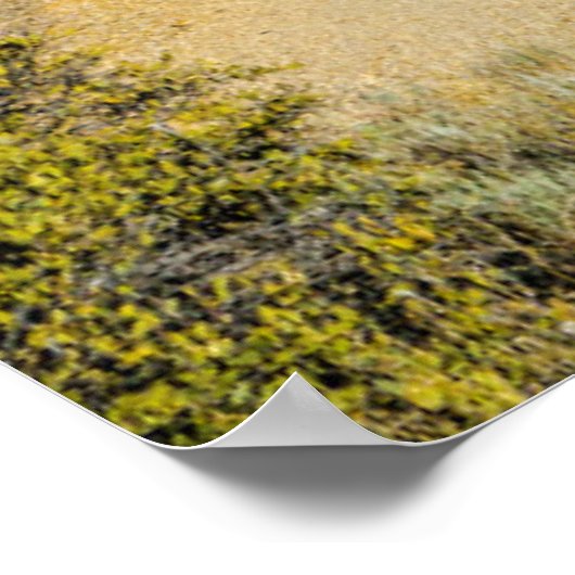 Permanente Cactus Poster (Hoek)