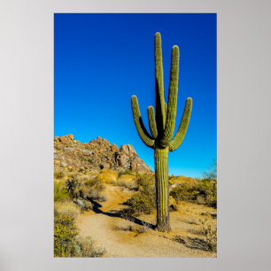 Permanente Cactus Poster