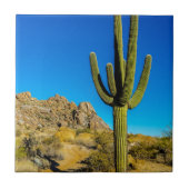 Permanente Cactus Tegeltje (Voorkant)