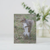 Permanente eekhoorn briefkaart (Staand voorkant)