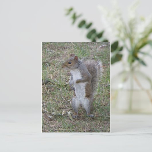 Permanente eekhoorn briefkaart (Staand voorkant)