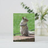 Permanente eekhoorn briefkaart (Staand voorkant)