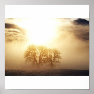 Permanente eenling poster