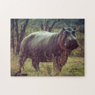 Permanente Hippo Posing in camera in Africa Foliag Legpuzzel