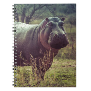 Permanente Hippo Posing in camera in Africa Foliag Notitieboek