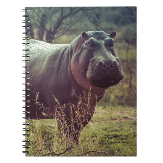 Permanente Hippo Posing in camera in Africa Foliag Notitieboek (Voorkant)