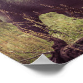 Permanente Hippo Posing in camera in Africa Foliag Poster (Hoek)