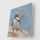 Permanente Puffin Vierkante Klok (Hoek)