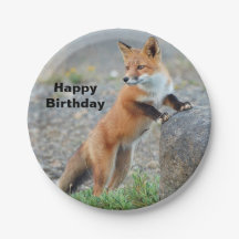 Permanente Red Fox Birthday