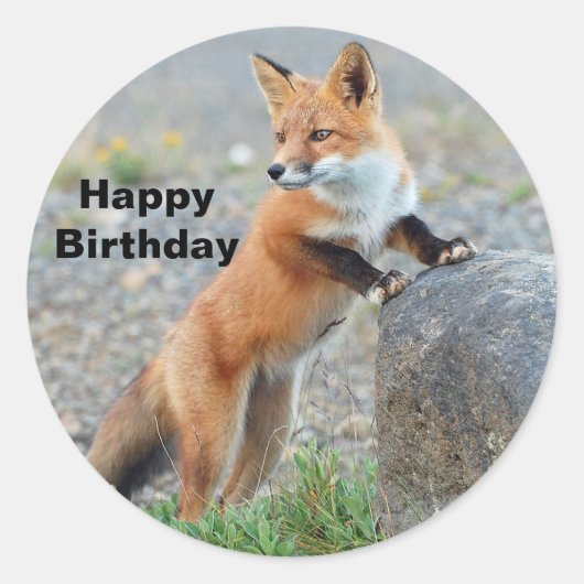 Permanente Red Fox Birthday Ronde Sticker (Voorkant)