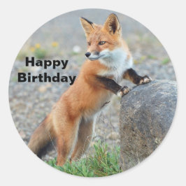 Permanente Red Fox Birthday Ronde Sticker