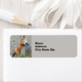 Permanente rode vos etiket (Insitu)