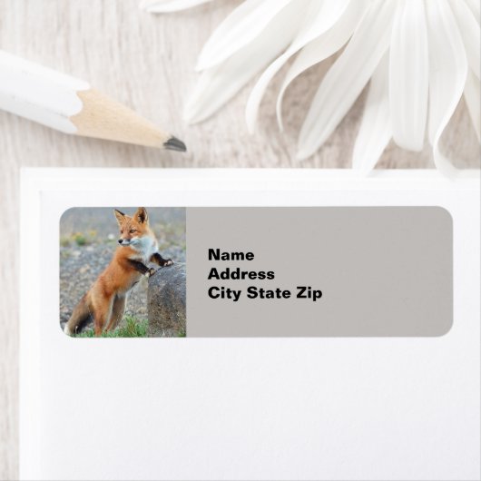 Permanente rode vos etiket (Insitu)