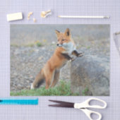 Permanente rode vos tissuepapier (Craft)