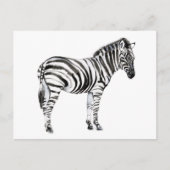 Permanente Zebra Briefkaart (Voorkant)