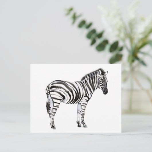 Permanente Zebra Briefkaart (Staand voorkant)
