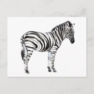 Permanente Zebra Briefkaart