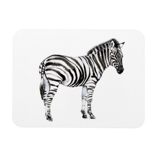 Permanente Zebra Magneet (Horizontaal)