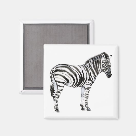 Permanente Zebra Magneet (Voorkant / Achterkant)