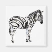 Permanente Zebra Magneet (Voorkant)