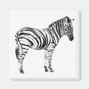 Permanente Zebra Magneet