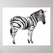 Permanente Zebra Poster (Voorkant)