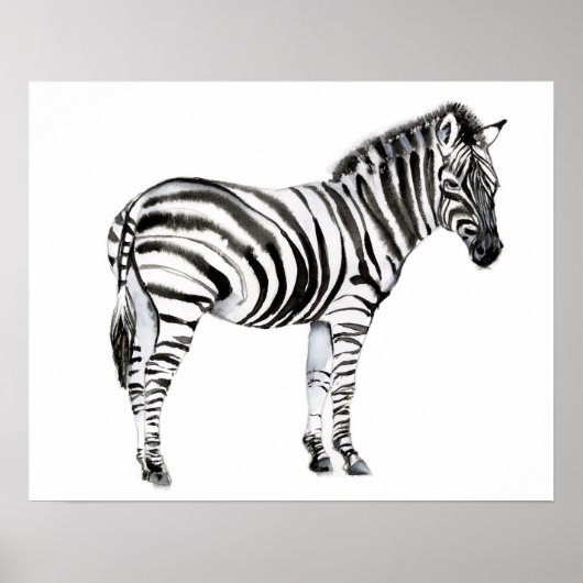 Permanente Zebra Poster (Voorkant)