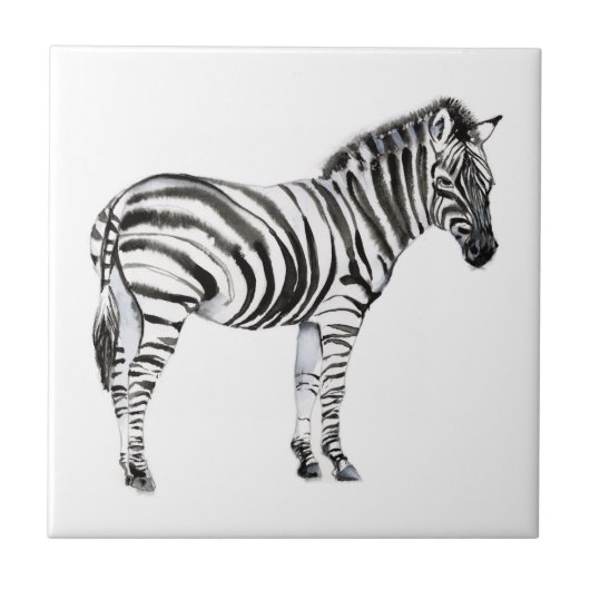 Permanente Zebra Tegeltje (Voorkant)