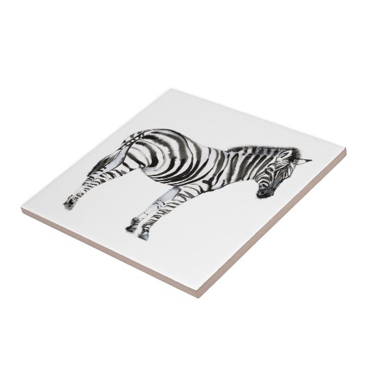 Permanente Zebra Tegeltje (Zijkant)