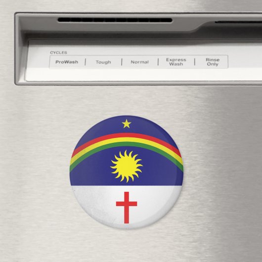 Pernambuco Magneet (Insitu (Vaatwasser))