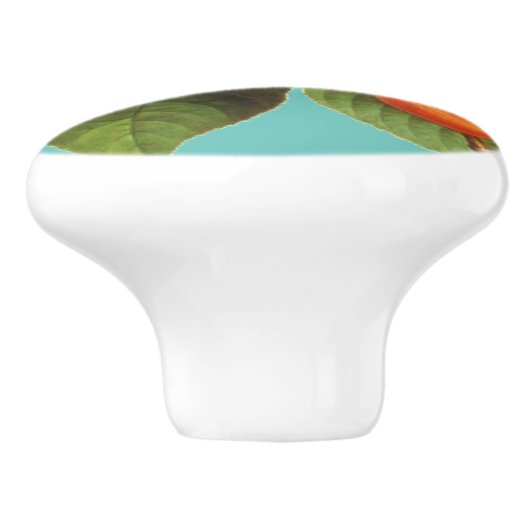 Perpervrucht Keramische Knop (Zijkant)