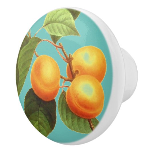 Perpervrucht Keramische Knop (Rechts)