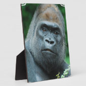 Perplexed Gorilla Fotoplaat (Zijkant)