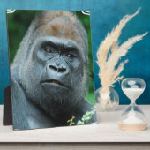 Perplexed Gorilla Fotoplaat (Zijkant)