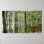 Perrin Park Poster (Voorkant)