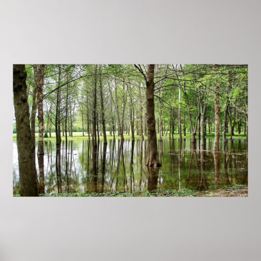 Perrin Park Poster (Voorkant)