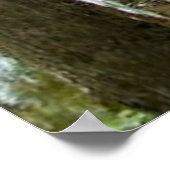 Perrin Park Poster (Hoek)