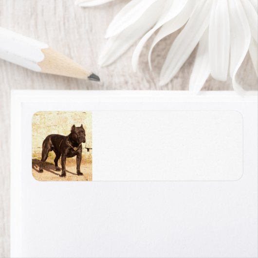 perro de pressa canerio vol etiket (Insitu)