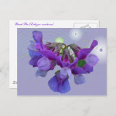 Perroncoördinatiepunten (Lathyrus maritimus) Briefkaart (Voorkant / Achterkant)