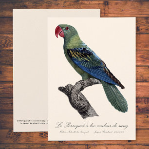 Perroquet a bec couleur sang / Great-billed papega Bedankkaart