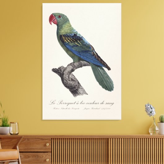 Perroquet a bec couleur sang / Great-billed papega Canvas Afdruk (Insitu (Woonkamer))