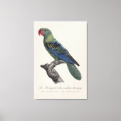 Perroquet a bec couleur sang / Great-billed papega Canvas Afdruk (Voorkant)
