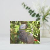 perroquet briefkaart (Staand voorkant)